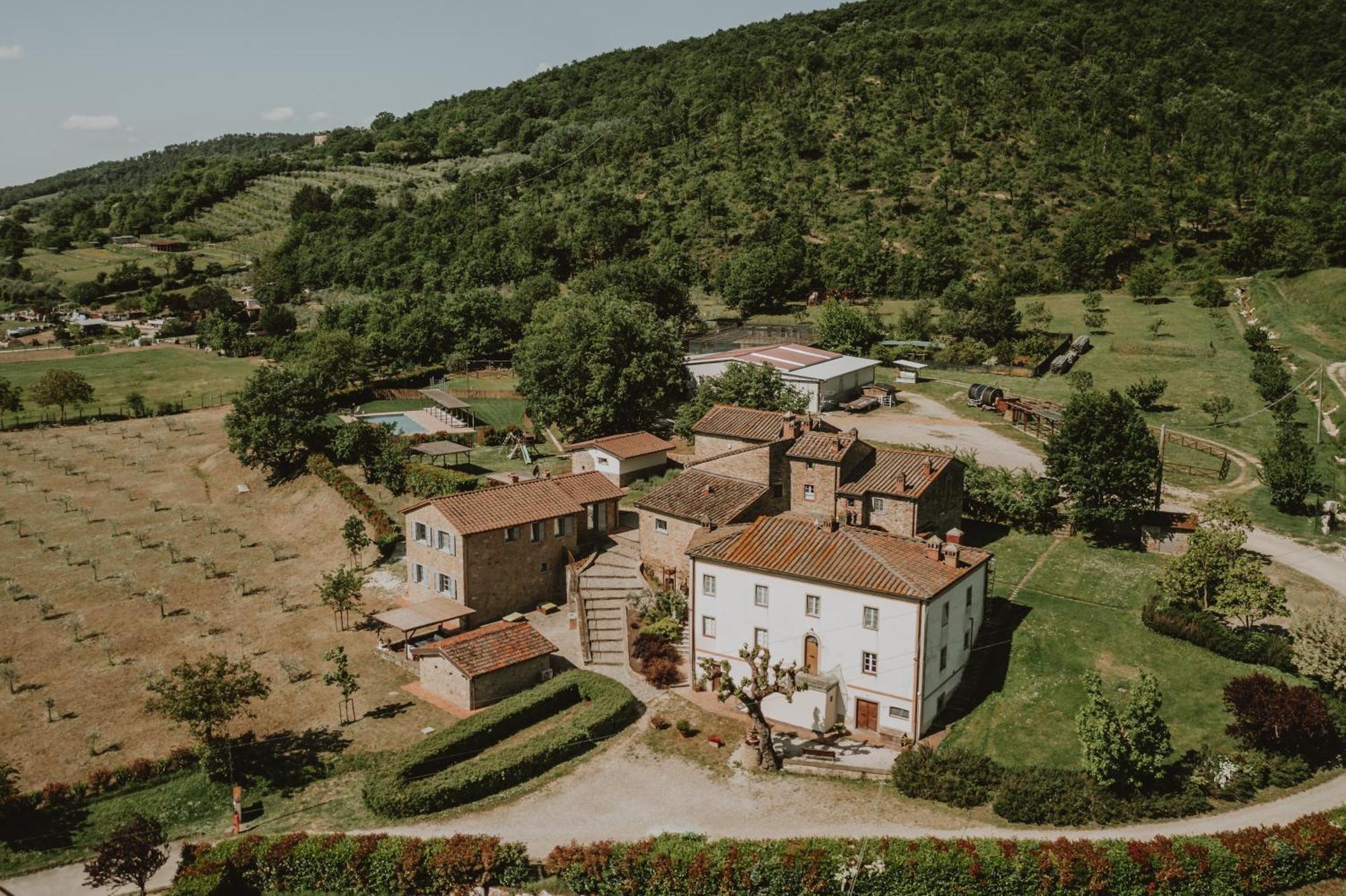 Baciano Azienda Agrituristico Venatoria Capolona Dış mekan fotoğraf