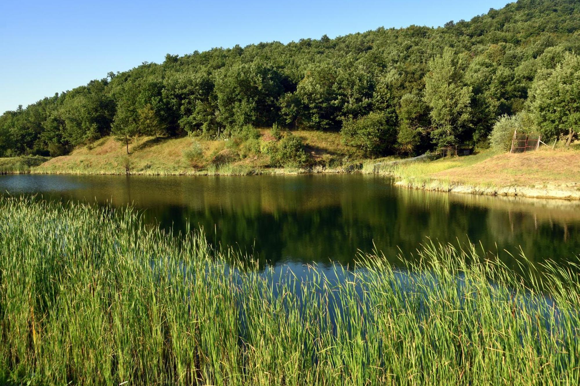 Baciano Azienda Agrituristico Venatoria Capolona Dış mekan fotoğraf